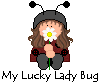 My Lucky Ladybug